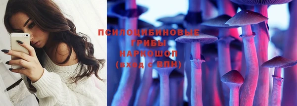 СК Абинск