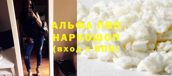 СК Абинск