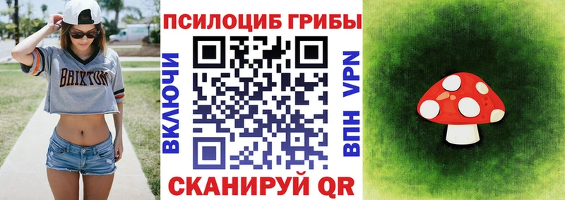 купить наркоту  Скопин  Галлюциногенные грибы Psilocybine cubensis 